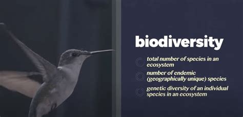 Ethereum is currently failing to recover at the same rate today, ethereum's price trends seem to follow bitcoin closely. Biodiversity is Collapsing Worldwide. Here's Why ...
