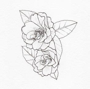 Maybe you would like to learn more about one of these? drawing-camellia-mildred-veitch2 in 2020 | Drawings ...