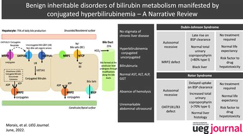 Benign Inheritable Disorders Of Bilirubin Metabolism Manifested By