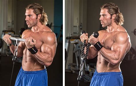 6 Ways To Build The Biceps Short Head