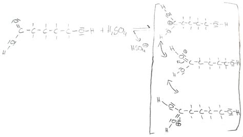 Protonendonator protonendonator ist ein chemischer stoff, der ein proton an einen reaktionspartner, den protonenakzeptor überträgt. Organische Chemie: Ester und die Veresterung