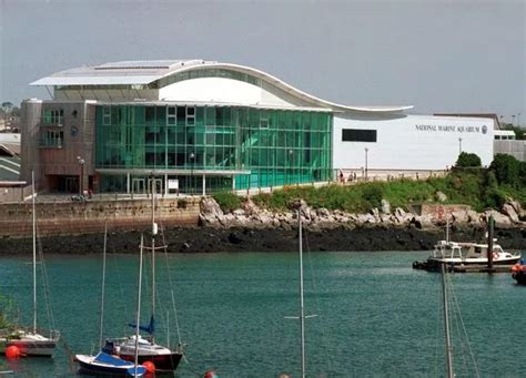National Marine Aquarium In Plymouth Announces Official Reopening