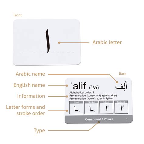 Arabic Alphabet Initial Medial Final Print Out Chart Petfiln