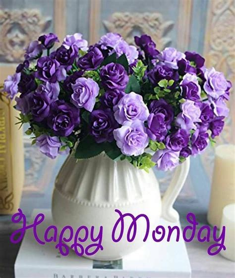 Purple Rose Happy Monday Image Pictures Photos And Images For