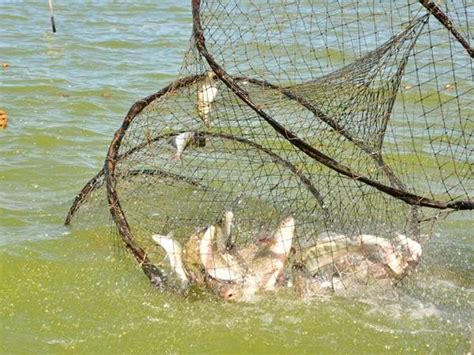 High Strength Fishing Nets For Fishers To Carry Out Fishery Activities