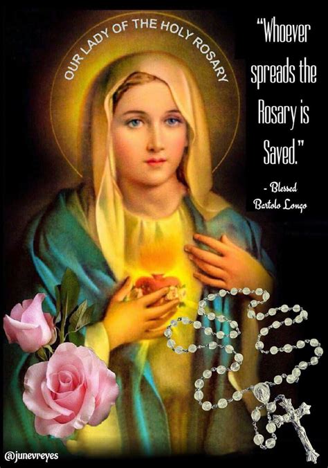 Amen Praying The Rosary Catholic Catholic Religion Holy Rosary