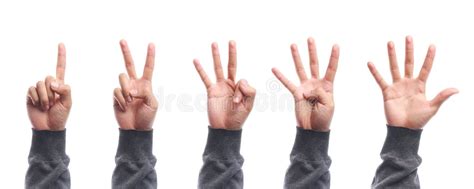 One To Five Fingers Count Hand Gesture Isolated Stock Photo Image Of