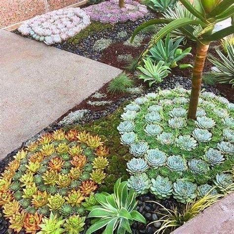 36 Awesome Succulent Front Yard Landscaping Ideas Succulent Landscaping