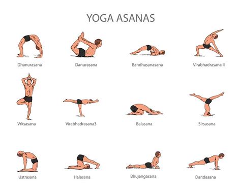 Types Of Yoga Asanas With Pictures Different Yoga Asanas Programmes