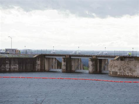 Gabriel porras was born on february 13, 1968 in mexico city, distrito federal, mexico as carlos gabriel porras flores. Don Pedro Reservoir Spillway Opens For First Time Since ...