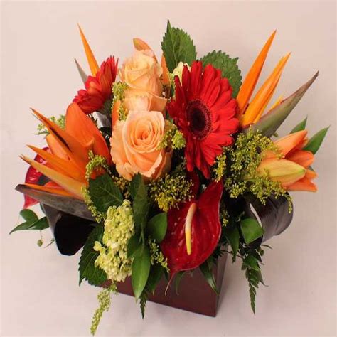 Get answers from st petersburg flowers staff and past visitors. Florists St Petersburg FL 33709