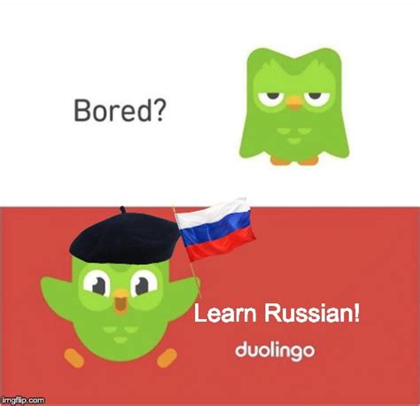 Duolingo Bored Memes Imgflip