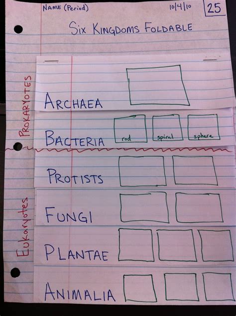 Garner 6th Grade Science Blog Six Kingdoms Foldable 6th Grade Science Life Science Middle