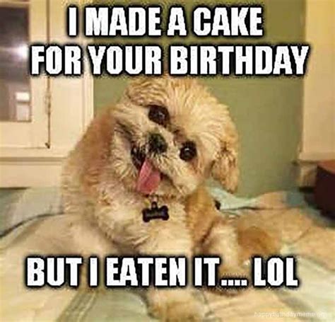 Happy Birthday Dog Meme Photos