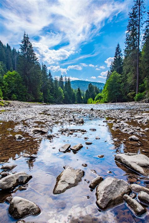 Premium Photo Mountain Stone River Flows Near The Coniferous Forest