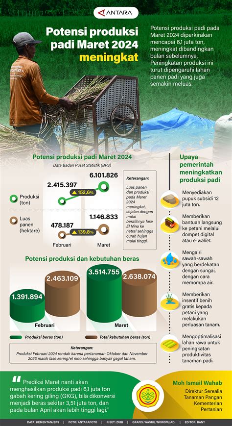 Potensi Produksi Padi Maret 2024 Meningkat - Monitor Indonesia
