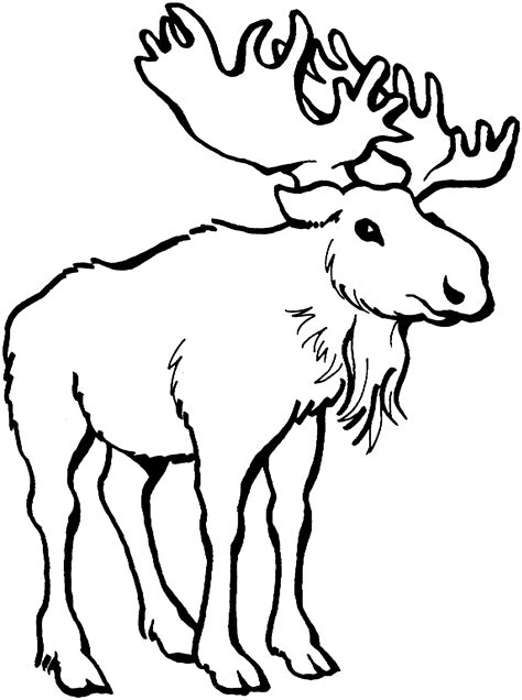Printable Moose Coloring Pages