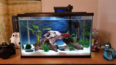 10 Cool Fish Tanks Ideas