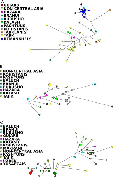 Y Chromosome Haplogroup Specific Networks Median Joining Network Based Download Scientific