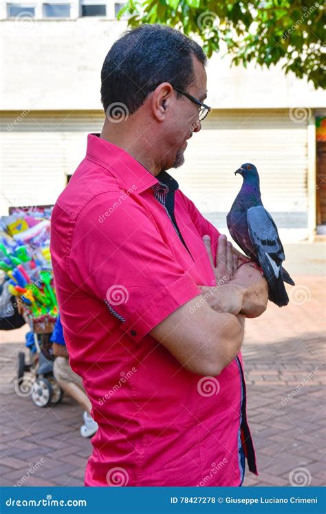 Santo Domingo République Dominicaine Un Homme Regarde Un Pigeon Sur