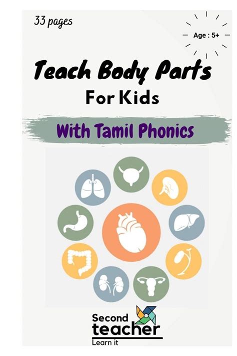 Body is the container for the soul. Body Parts In Tamil For Kids / Amazon Com Tamil Flashcards ...