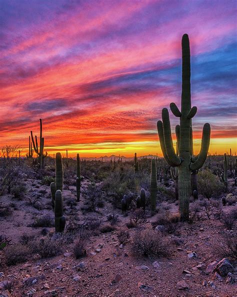 Sunset Sky Over Saguaro National Park Photograph By Mike Winer Pixels