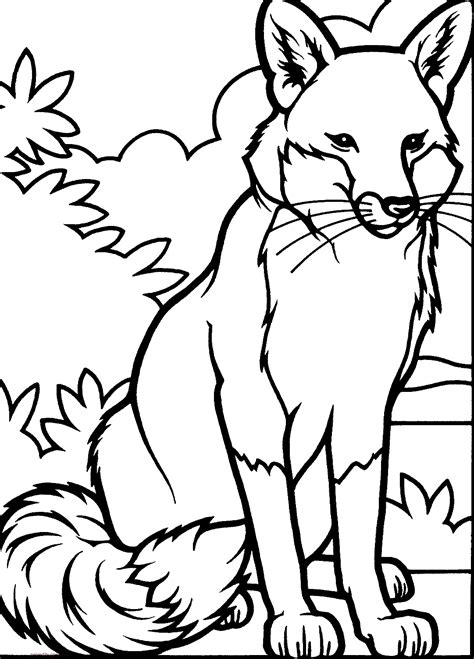 Dibujos de zorros para colorear