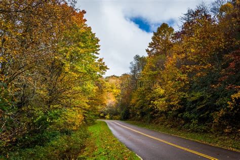 Autumn Color Along The Blue Ridge Parkway Near Blowing Rock No Stock