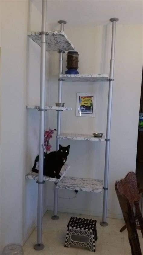See more ideas about cat feeding station, outdoor cats, feeding station. Stolmen Cat Feeding Station / Cat Tree - IKEA Hackers