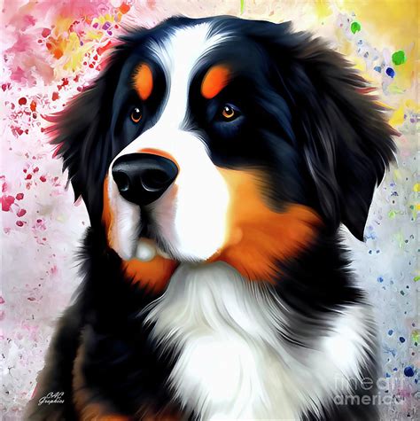 Bernese Mountain Dog Portrait Painting By Cac Graphics Fine Art America