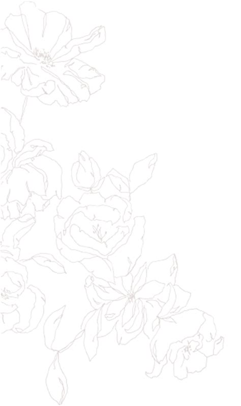 Line flower pattern on transparent background vector image, free portable network graphics (png) archive. Living Fresh Flower Studio - Florist Kitchener, Waterloo