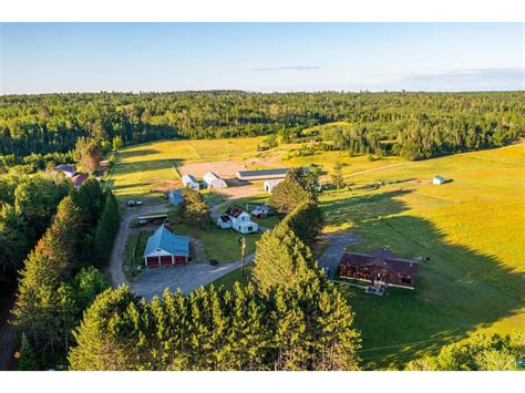 2231 Robich Rd, Ely, MN, 55731 | MLS: 6107770 | Edina Realty