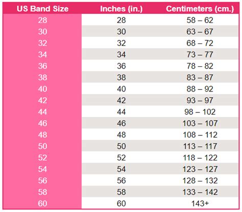 Sex Doll Bra Sizing Guide For You Love Doll A Guide By Industry Expert