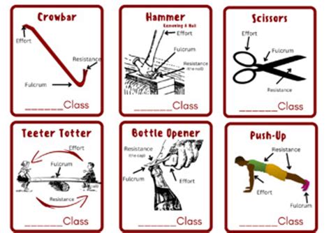 Examples Of Levers Around The House