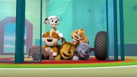 Rubblegalleryultimate Rescue Pups Save The Tigers Paw Patrol Wiki