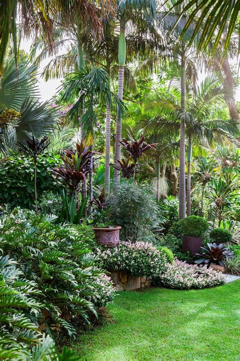17 Affordable Backyard Garden Landscaping Ideas Tropical Landscape