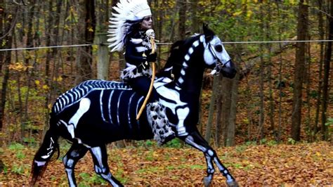 26 Super Cool Halloween Horse Costumes Horse Soup