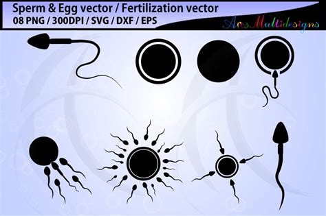 Sperm Svg Silhouette Egg Svg Silhouette Sperm And Egg Vector Fertilization Svg