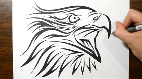 How To Draw A Tribal Eagle Tattoo Design Youtube