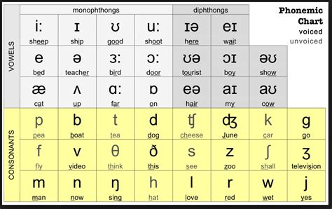 Ipa Chart With Examples In Different Languages Printable Pdf Download Imagesee