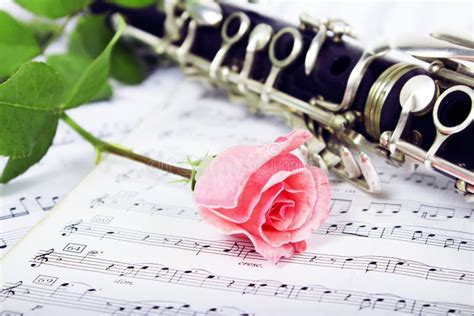 Rose Clarinet Composition Stock Photo Image Of Gorgeous 32819248