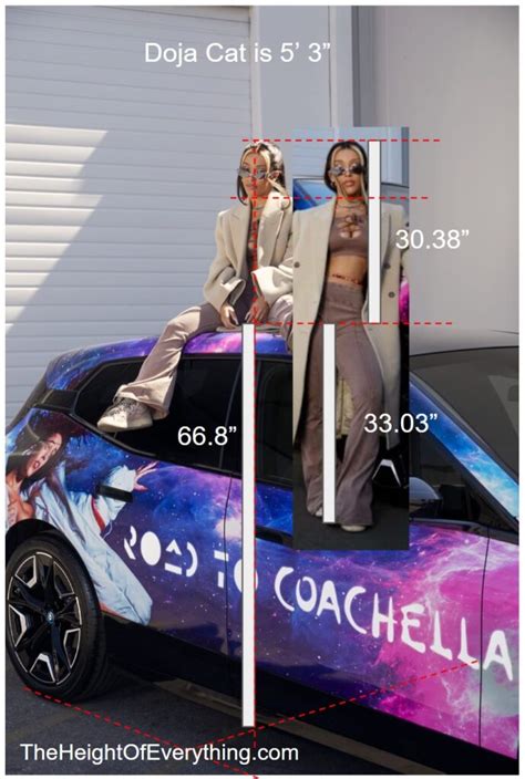 How Tall Is Doja Cat Proof The Height Of Everything