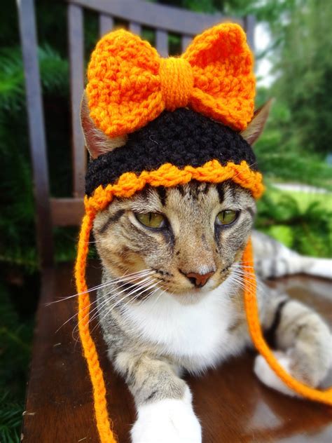 Halloween Hat For Cats And Small Dogs In Custom Colors The