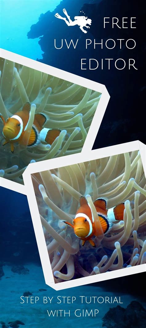 How To Edit Underwater Photos With The Free Editor Gimp Underwater