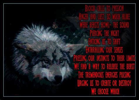 Pin By Henk Sparreboom On Wolf Sayings And Wolf Wisdom En Wolves Quotes