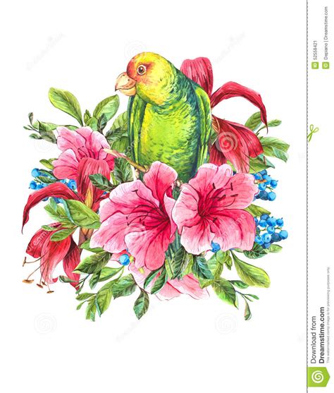 Egzotyczna Rocznik Karta Z Tropikalnymi Kwiatami Papugi Ilustracji Ilustracja złożonej z