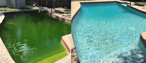 How do you clean green pool water? Green Algae In Pool - Heart My Pool, LLC