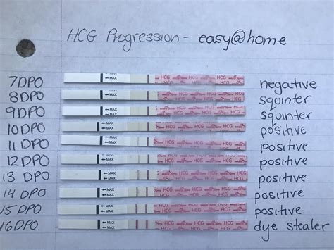 7-16 DPO/ easy@home HCG/ negative to a slight dye stealer. : r/TFABLinePorn