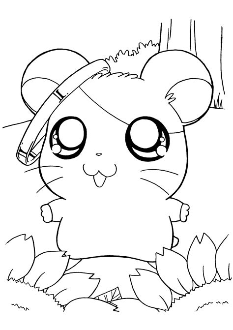 Hamtaro With Rings In The Ears Coloring Pages For Kids Fde Printable