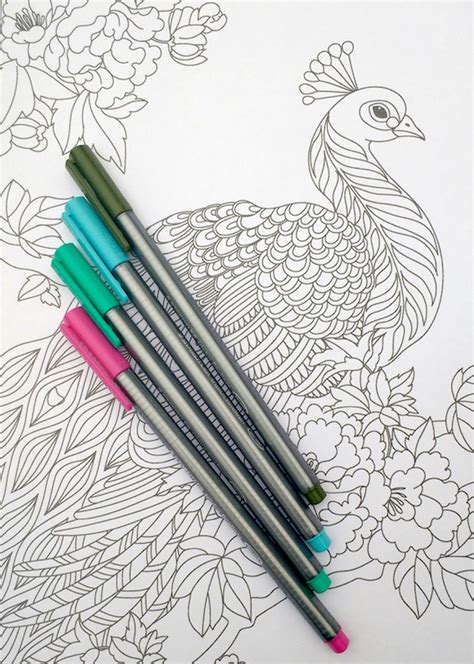Search through 623,989 free printable colorings at getcolorings. Step by step coloring: Peacock feathers - The Coloring ...